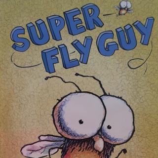 Super fly guy