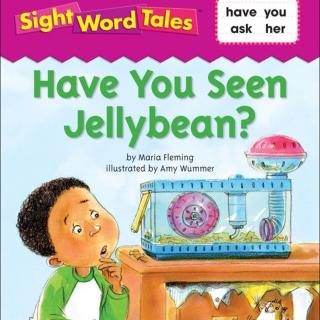 Sky读绘本《Have  You  Seen  Jellybean》