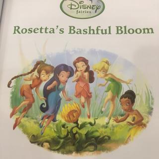 Rosetta's Bashful Bloom