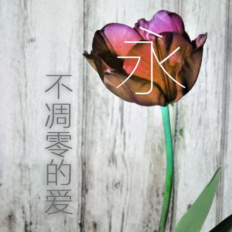 20170324_永不凋零的爱