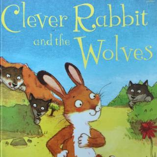 Clever rabbit and the wolves20170326