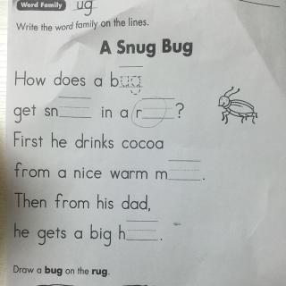 A snug bug