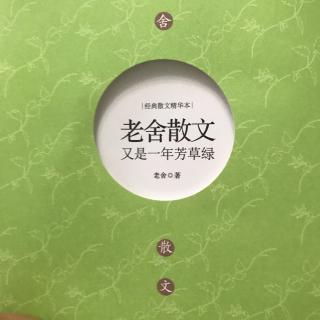 豆豆妈妈读老舍散文：宗月大师