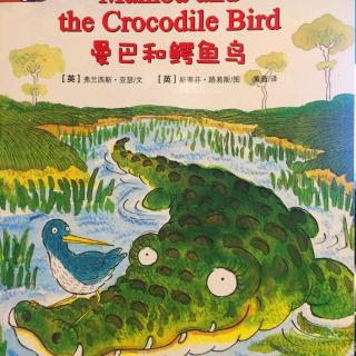 【听故事学英语】《Mamba and the Crocodile Bird 曼巴和鳄鱼鸟》