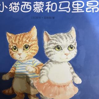 小猫西蒙和马里昂