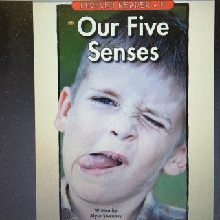 Our five senses