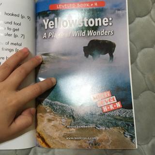 Yellowstone: a place of wild wonders