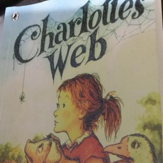 charlotte's web 7