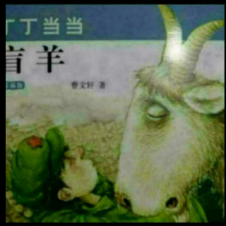 盲羊第十六章眺望