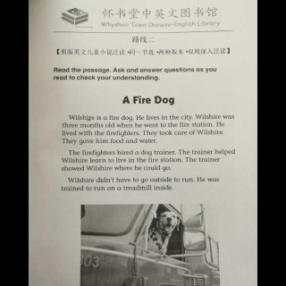 怀书英语 原版小说 同一节选 单周: A fire dog