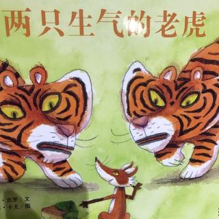 两只生气的老虎