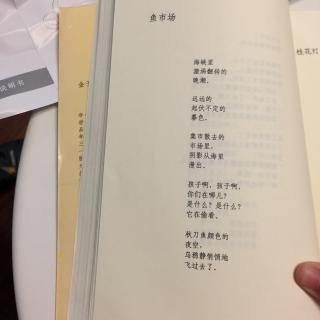 金子美林诗六首