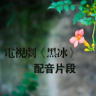 电视剧《黑冰》片段