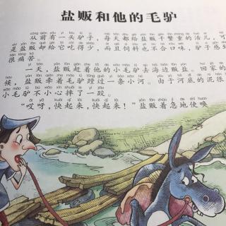 盐贩和他的毛驴