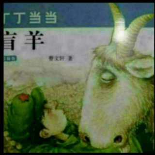 盲羊第十七章迷失