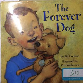 The forever dog