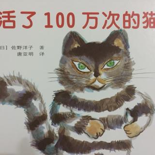 绘本故事——《活了一百万次的猫》