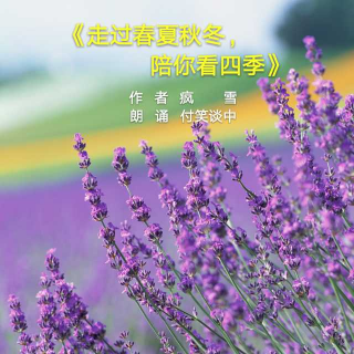 走过春夏秋冬陪你看四季