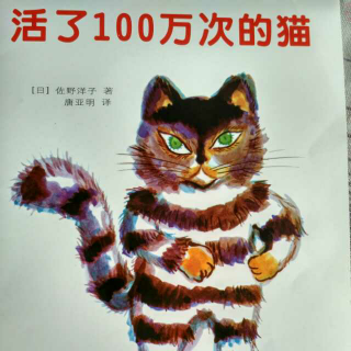 活了100万次的猫🐱