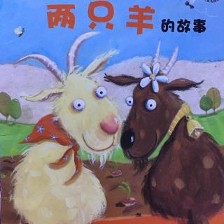 两只羊🐑的故事