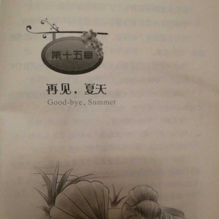 棚车少年奇异岛 第十五章 再见，夏天