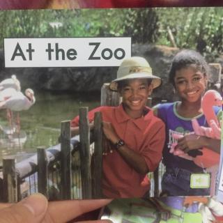 At the zoo