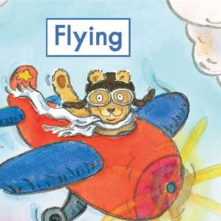 海尼曼G1 Flying