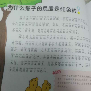 为什么猴子的屁股是红色的？