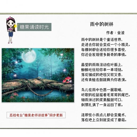 《雨中的树林》金波