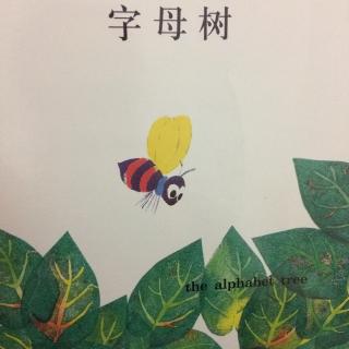 字母树