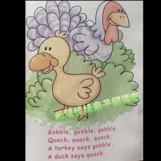 Gobble,Gobble【英文启蒙儿歌】