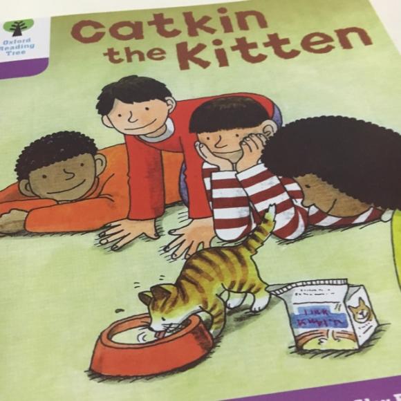 catkin the kitten