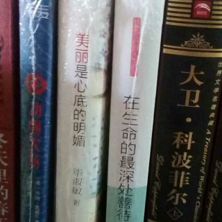 重说中国近代史（蒋廷黻，张鸣，吕思勉，柏杨等著）