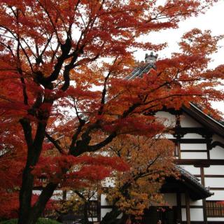 高台寺