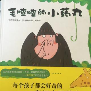 毛喳喳的小药丸