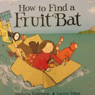 How to find a fruit bat
