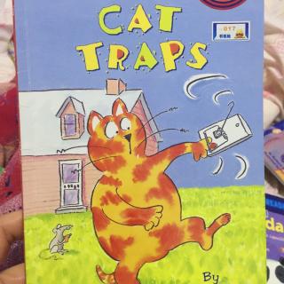 cat traps