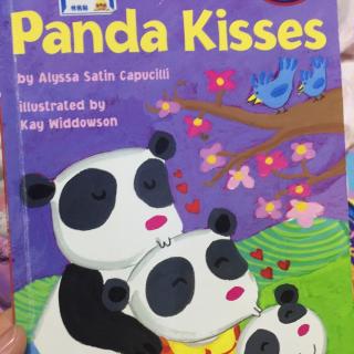 panda kisses