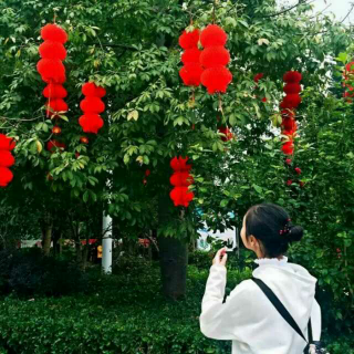 霸王别姬成绝响，人间再无张国荣