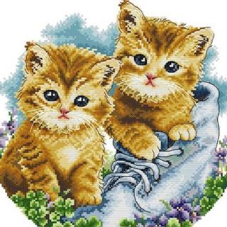 【学习小动物】Two little kitty cats