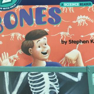 S2-Bones-20170402