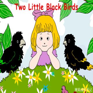 【学习小动物】Two little black birds