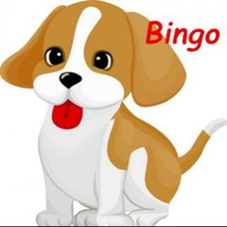 【学习小动物】Bingo