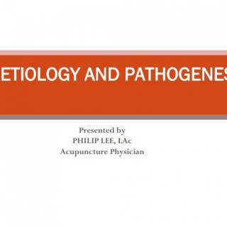 NO.274  2017 Advanced TCM English（5）：Etiology and Pathogenesis，Philip Lee，USA