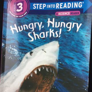 hungry hungry sharks