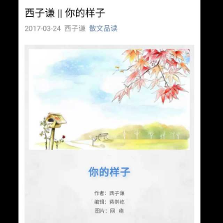 西子谦散文（你的样子）