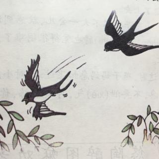 小燕子🐦学飞