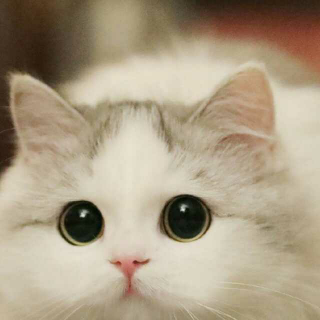 比共享单车更暴露人性的,是医院的病房】在线收听_missmimo_荔枝