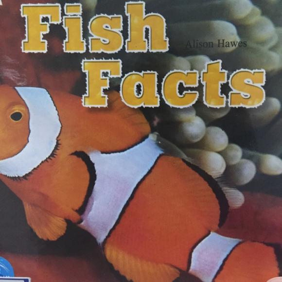 fish facts
