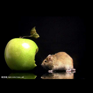 珍妮偷吃苹果